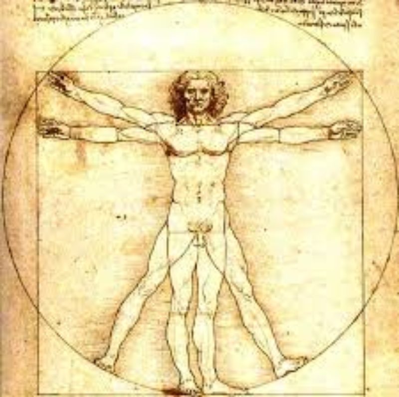 Anatomische richtingsaanduidingen