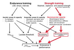 krachttraining beatie et al. (2014)