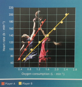 hartslag - zuurstofopname curve 