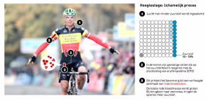 hoogtetraining - aanmaak rode bloedcellen
