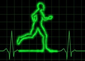 hardlopen - vetverbranding stimuleren